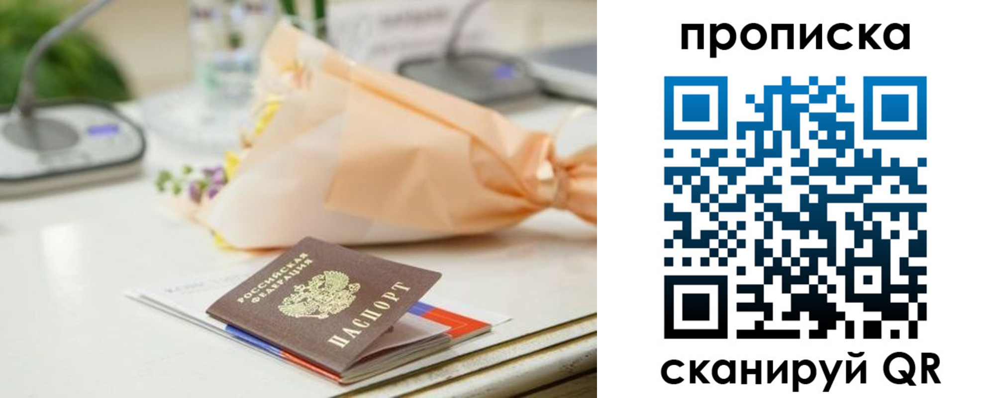 прописка гарантия в Николаевске