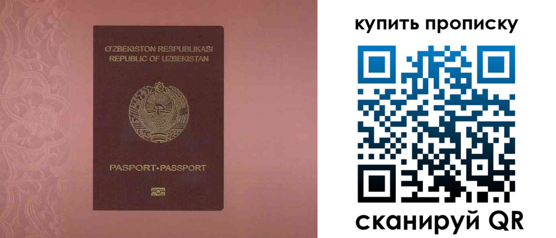 прописка иностранных граждан в Николаевске